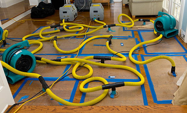 Professional Basement Flood Cleanup technician working in Hastings, PA